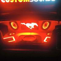 The Mustang sand-blasted into plexi